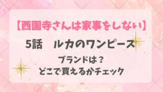西園寺さんは家事をしない　ルカ　5話　衣装　マドラスチェック　ワンピース　ブランド　どこの